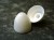 Philips 234-334 Replacement White Plastic Eggshell Eartips for LFH0234 LFH0334